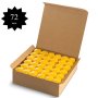Candle Charisma Votive Citronella Scented Candles, Summer Yellow, Set of 72