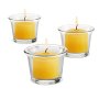 Candle Charisma Votive Citronella Scented Candles, Summer Yellow, Set of 72